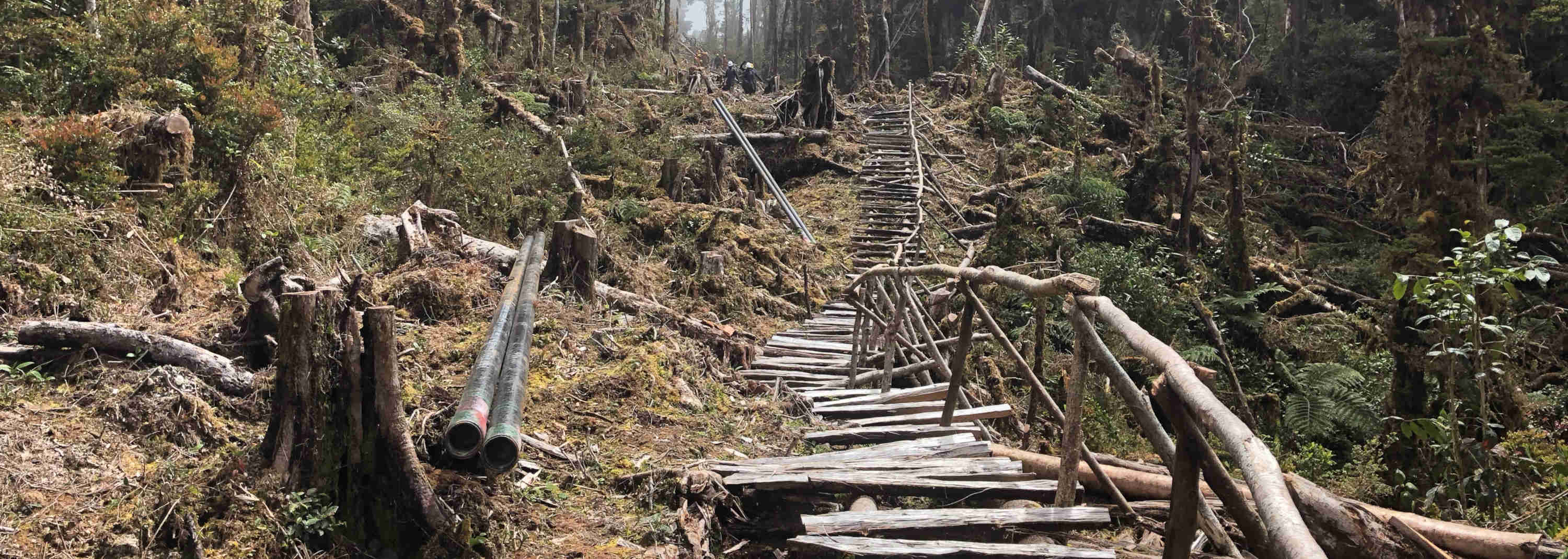 Bridging above 8000ft at Highlands of Papua New Guinea
