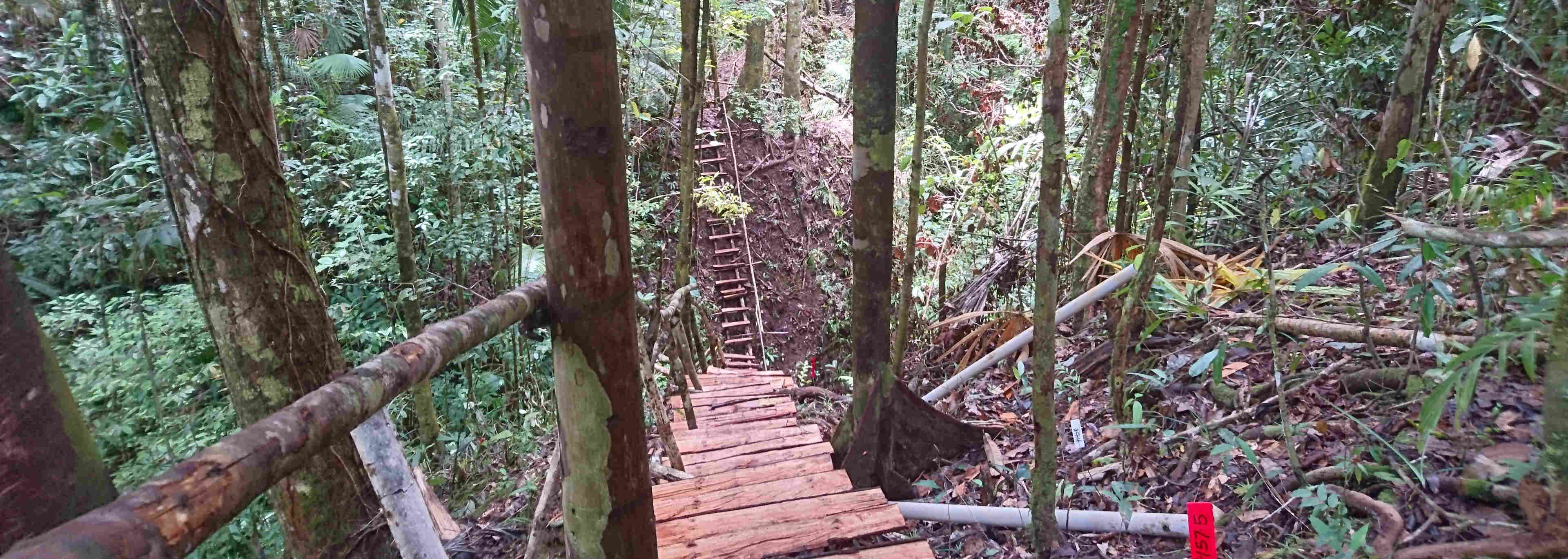 Seismic Work at Central Province of Papua New Guinea